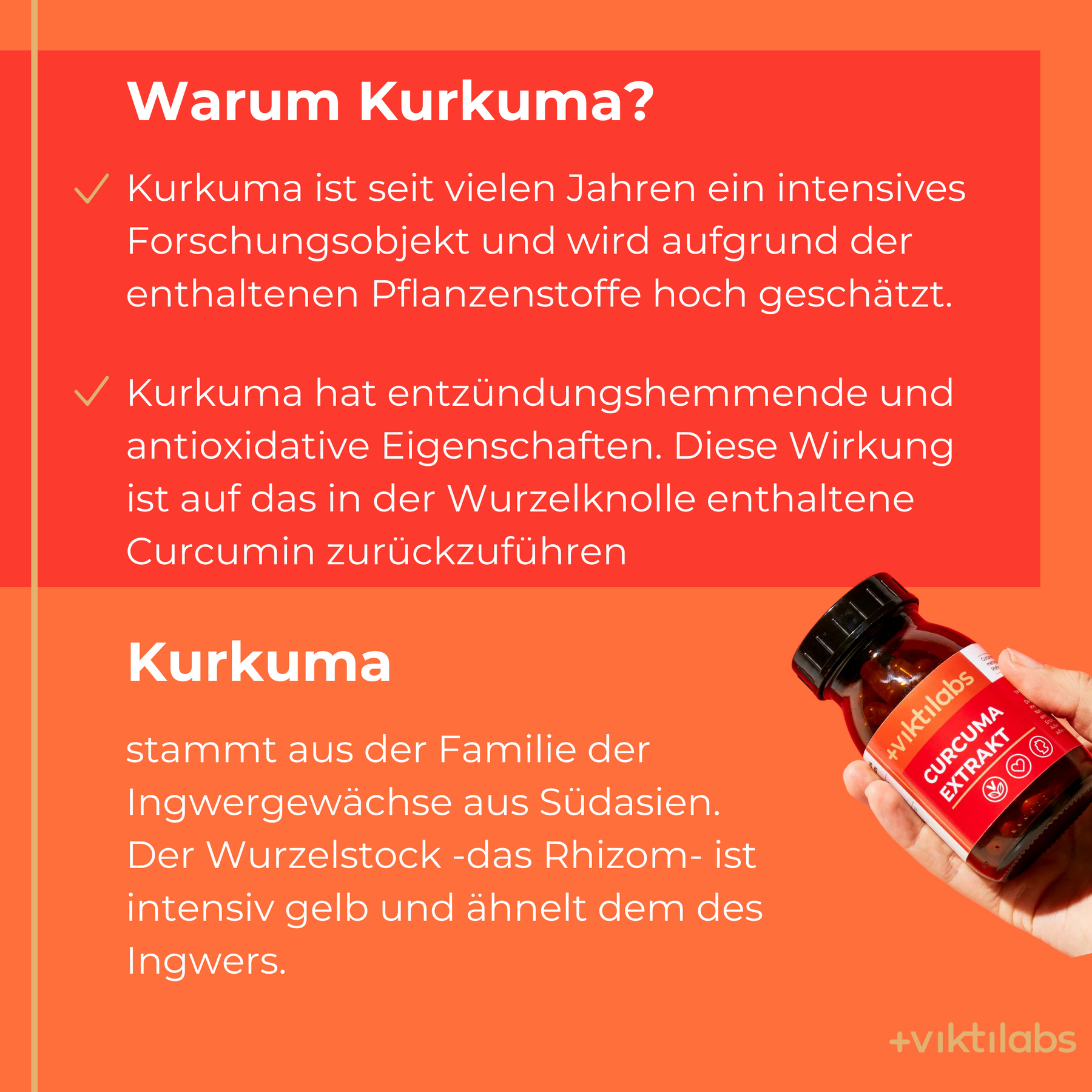 Kurkuma – Kombination aus Kurkuma-Extrakt, Kurkuma-Pulver und Piperin - 60 Kapseln