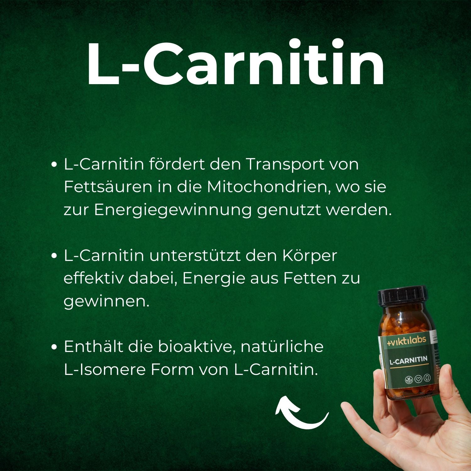 Muskelkraft Paket: Amino 8, Kreatin, L-Carnitin