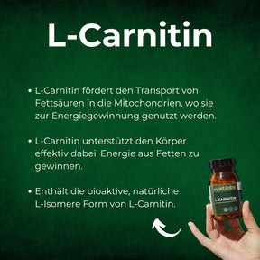 Muskelkraft Paket: Amino 8, Kreatin, L-Carnitin