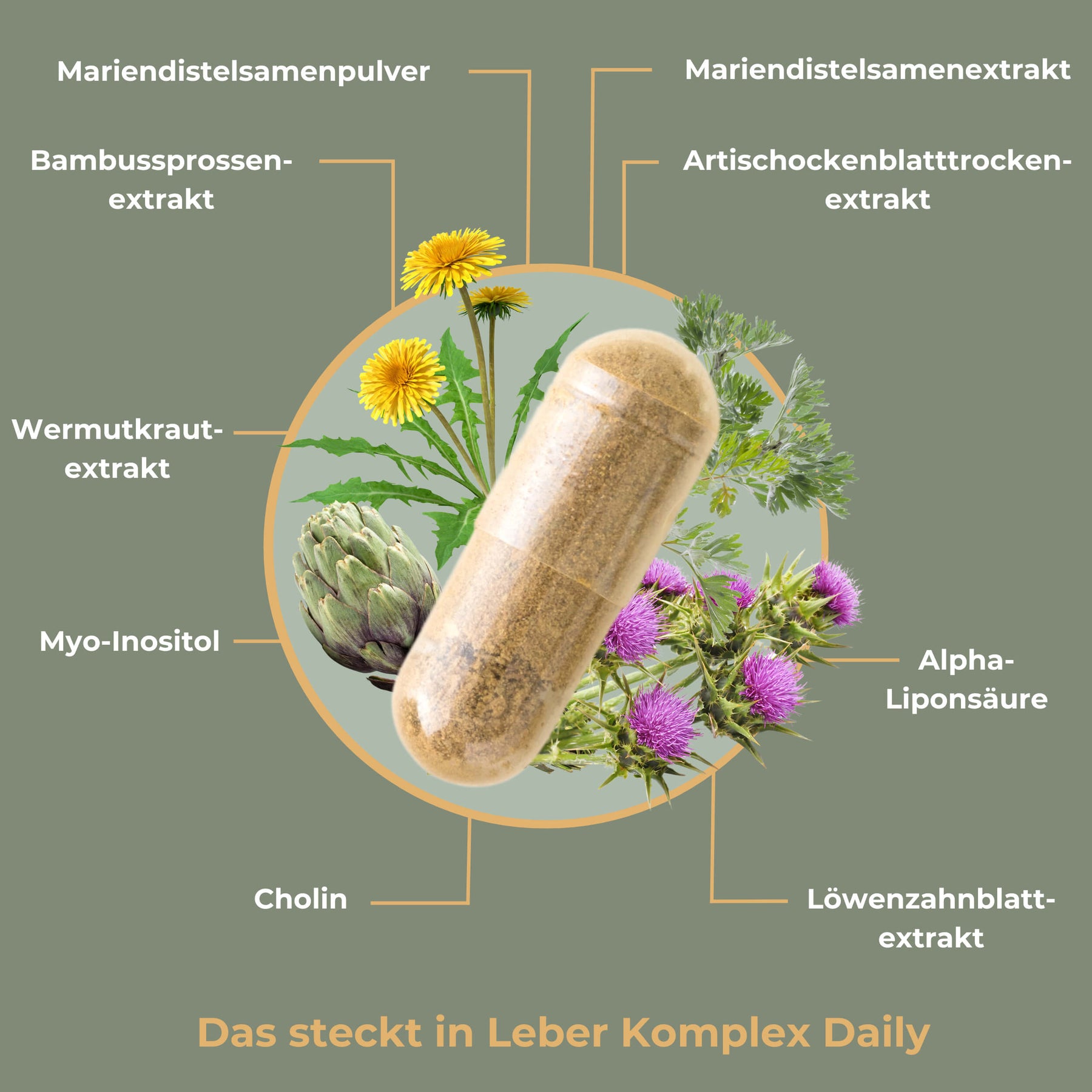 Leber Komplex Daily: Mit Cholin und Alpha-Liponsäure