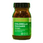 Chlorella Vulgaris microalgae: From Indoor Farming