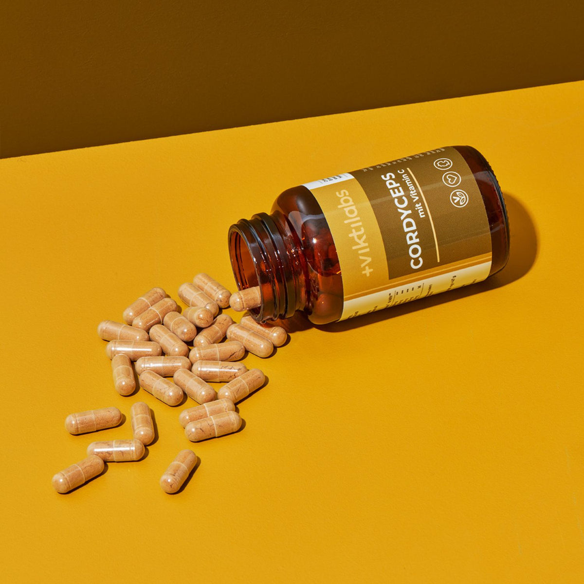 Premium Cordyceps: Vitalpilz mit Vitamin C