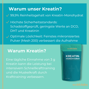 Viktilabs Kreatin MonoViktilabs Kreatin Monohydrat Info  [lang-de]