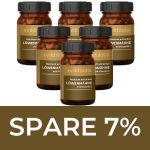 Premium Löwenmähne (Hericium erinaceus): Vitalpilz mit Vitamin C