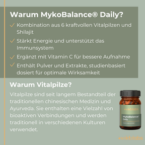 MykoBalance® Daily: Premium Vitalpilz-Formel