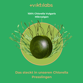 Chlorella Vulgaris Mikroalgen - 300 Presslinge