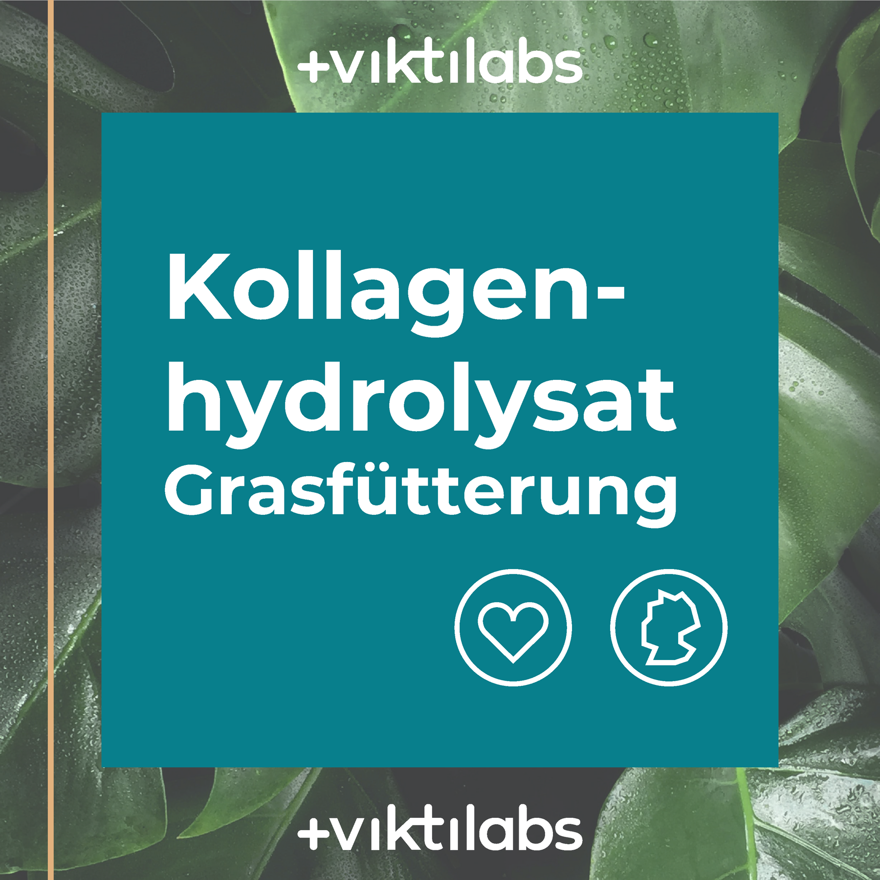 3 Packungen Kollagen aus Grasfütterung á 500g